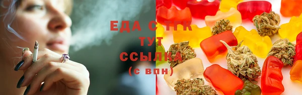 стаф Надым