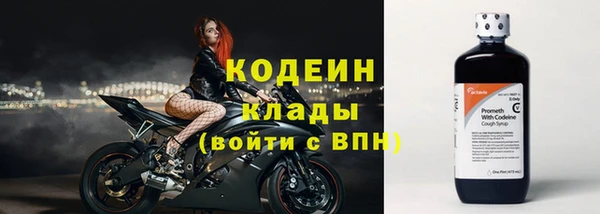стаф Надым