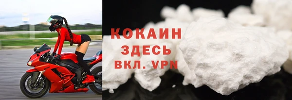 стаф Надым