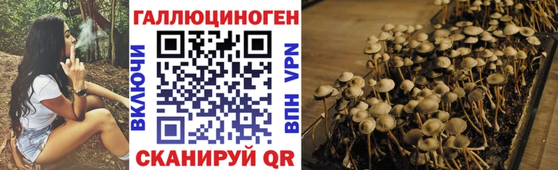 Галлюциногенные грибы прущие грибы  Котлас 