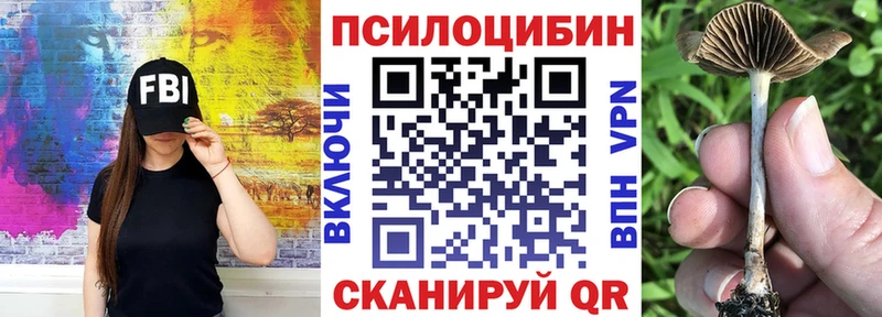 Псилоцибиновые грибы Magic Shrooms Котлас
