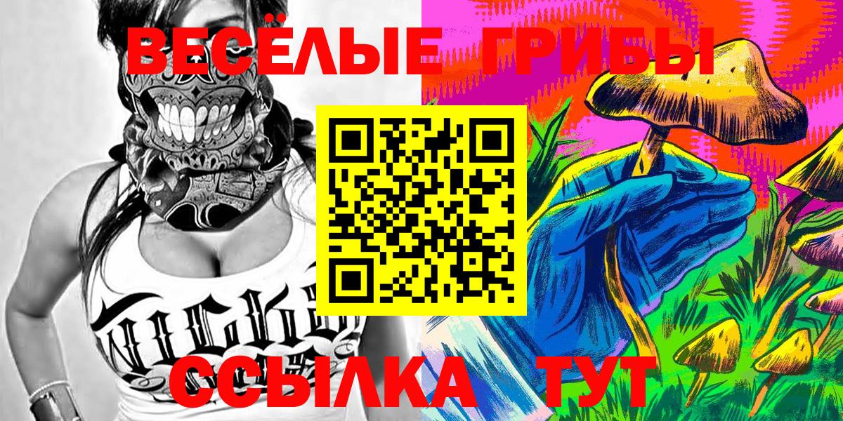 Галлюциногенные грибы мицелий Котлас