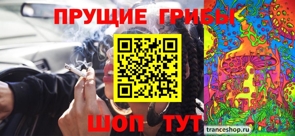 Котлас  Псилоцибиновые грибы Psilocybine cubensis  Вход с VPN 