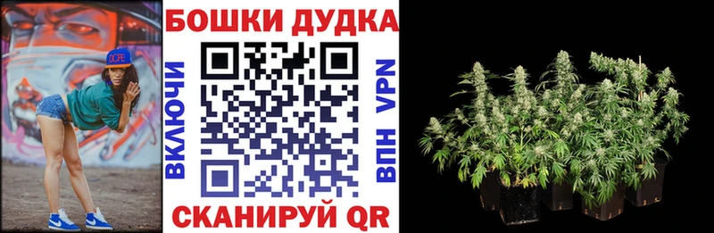 Марихуана VHQ shop клад Котлас